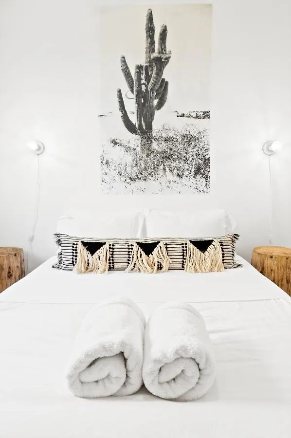 The Sophia Apartments Scottsdale